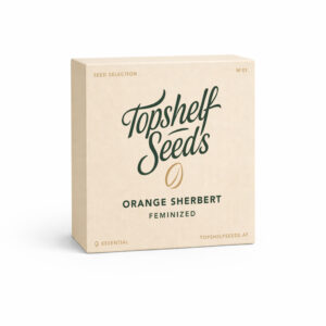 Topshelf Seeds x Exotic Seed - Orange Sherbert - feminized - 01/26 Seed Selection - Essential
