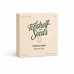 Topshelf x Exotic Seed - Tangieland - feminized - 01/26 Seed Selection - Essential